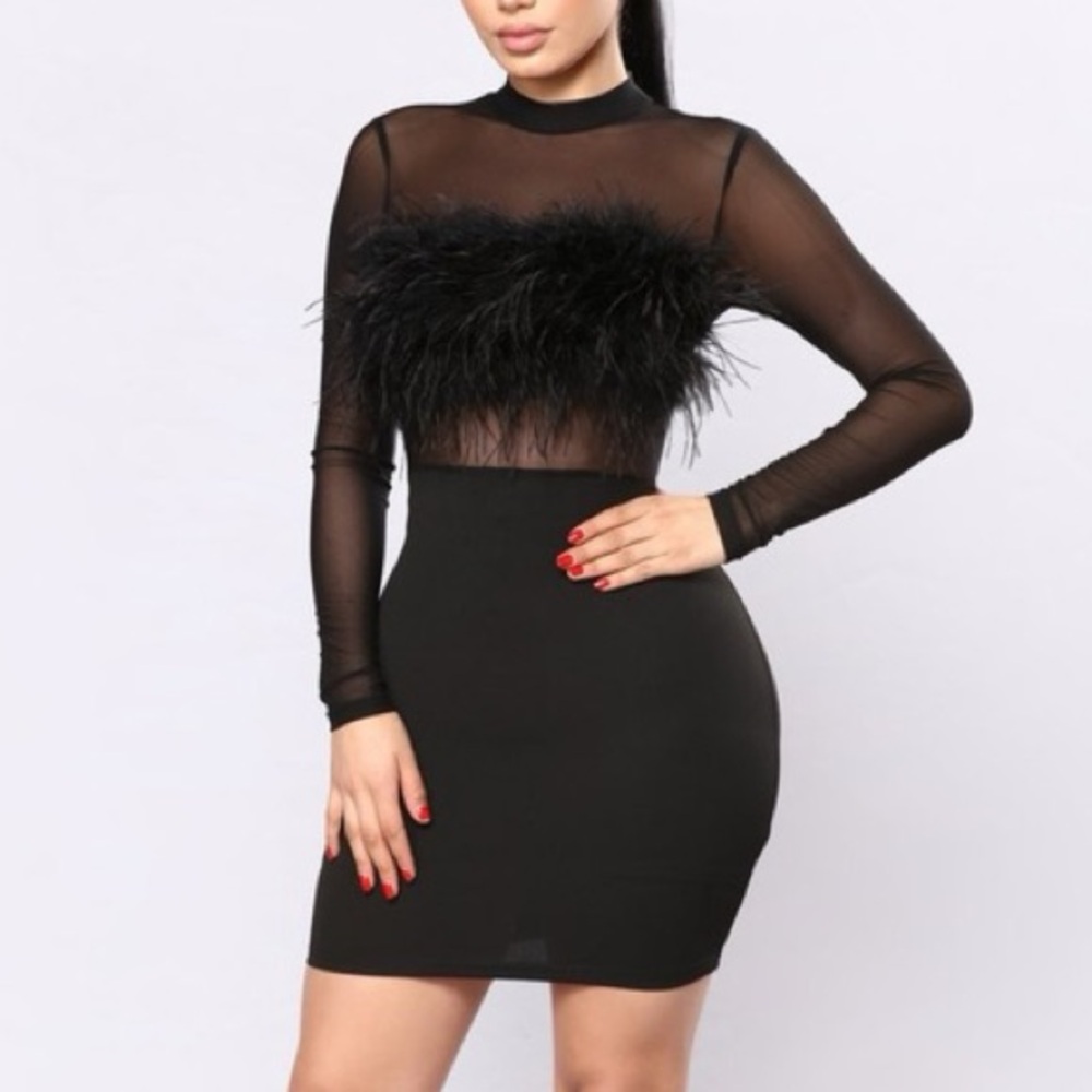 🟡5/$25 DEAL! Fashion Nova Black Sheer Feather Long Sleeve Dress